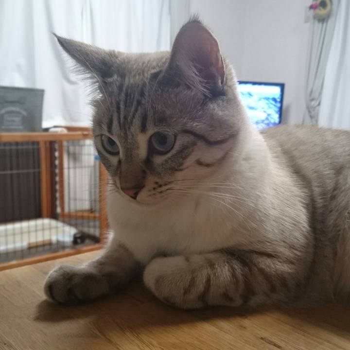 1a85add9 5372 4e0b 82cc 2b9b0356ba2d