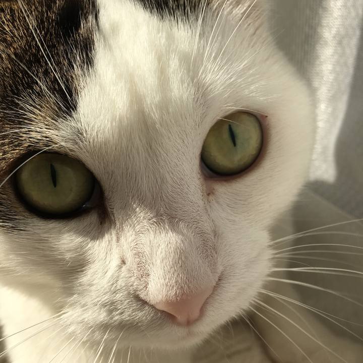 1a85fe95 226b 44b9 bfee ebbd5a735e47