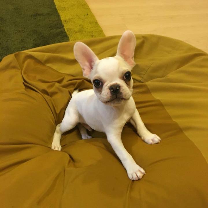 1a867486 d690 4492 8b80 6cda3ca9a6a8