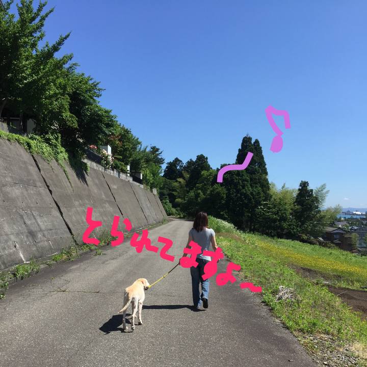 1a86b322 8259 4689 8ed2 f1ea8b55abdc