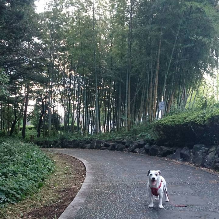 1a86d29d 9534 465c 84f3 1e0a14d82657