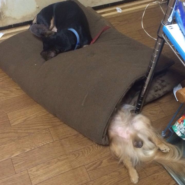 1a870fd3 e11f 49b6 a6a2 ecb9dd416948