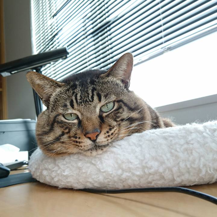 1a876785 4c1e 432f 8def 6b64cd8bf375