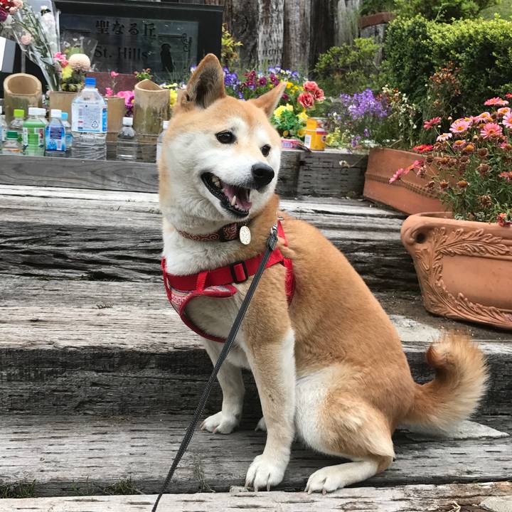 1a8785ed a62c 40b7 802a 55ad02c4117f