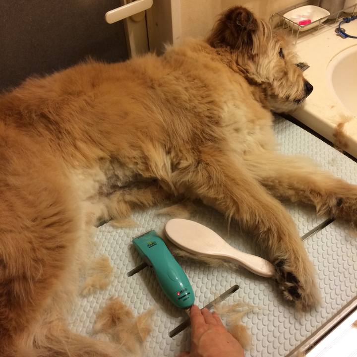 1a87872a a67d 4053 a905 ce12a9d6e9ea