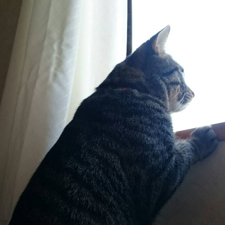 1a8796df 884c 42a0 bad6 48d8ee61fb18