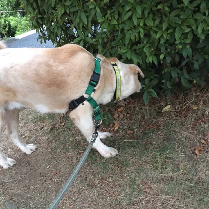 1a87a30a 40b9 4f3a 98ae 2818405a5cd8