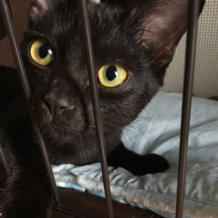 1a882165 b865 47b1 a2e8 384fd1a412c6