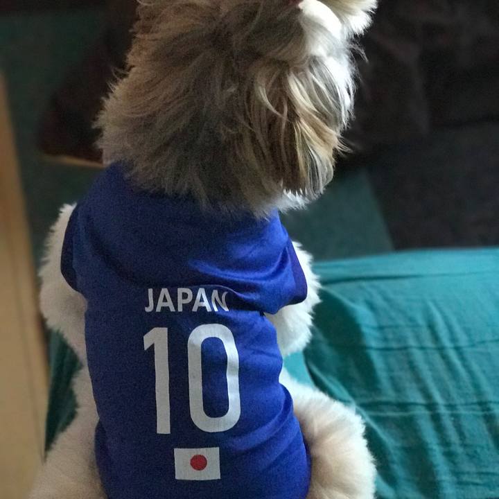 1a882eaf 9c0d 42be 9f84 d34ba97554d4