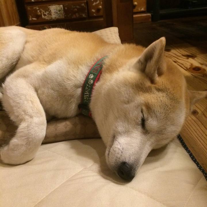 1a883b79 d416 4bd6 af61 04bb4bc163e6