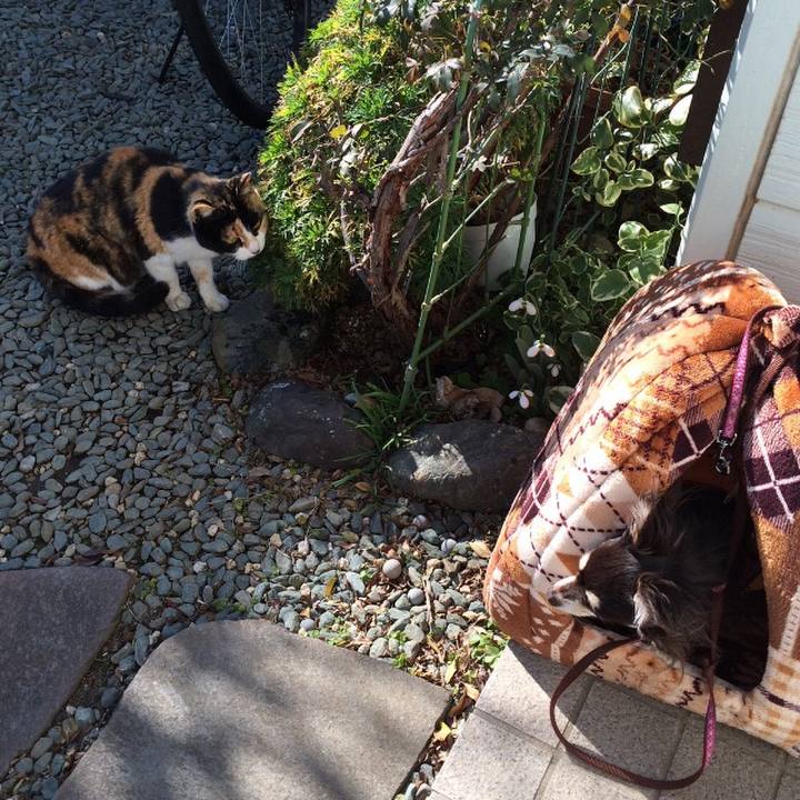 1a887e71 fef4 4d34 81dc a0f3287f8da7