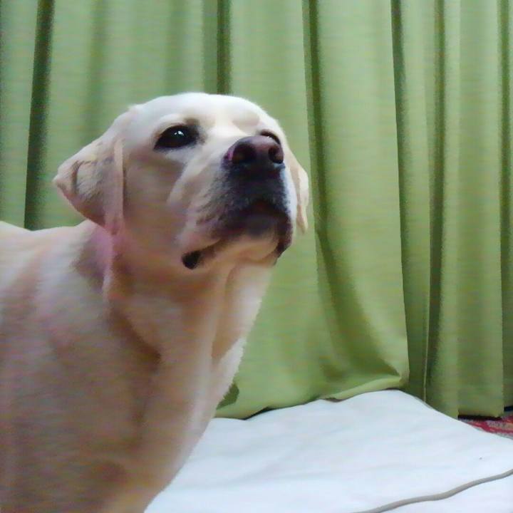 1a88f6be 9931 4ece bb07 bee1c1122c54