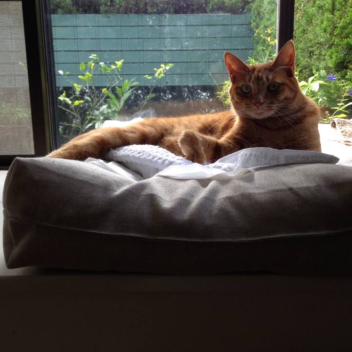 1a890185 7b83 469f 92ed c886b28aa974