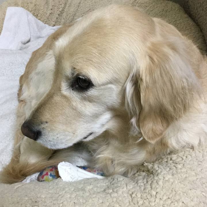 1a8958be 050b 4333 97b8 20213ba6068b