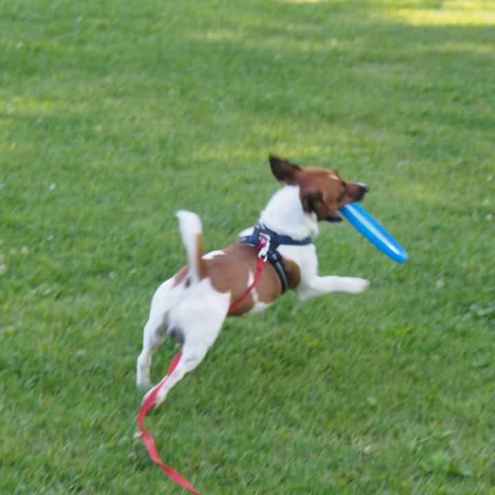 1a899cfb c9ea 4051 8c86 43cb9ef6b739