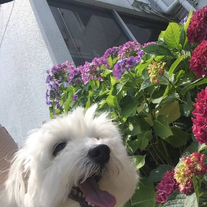 1a89d979 c3b6 4113 81e1 e763069b228d