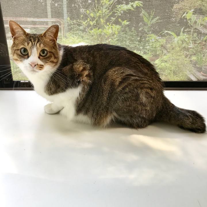 1a8a09b4 17e2 4145 b7a7 fbaed6c6daef