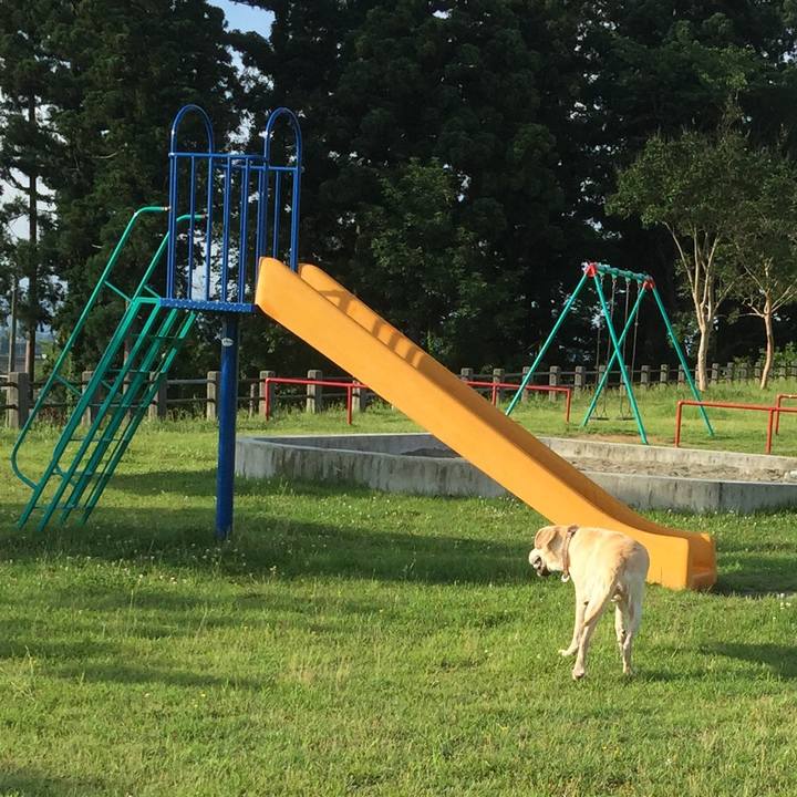 1a8a988f 6ced 404f 93b3 9abb5a3fdbad