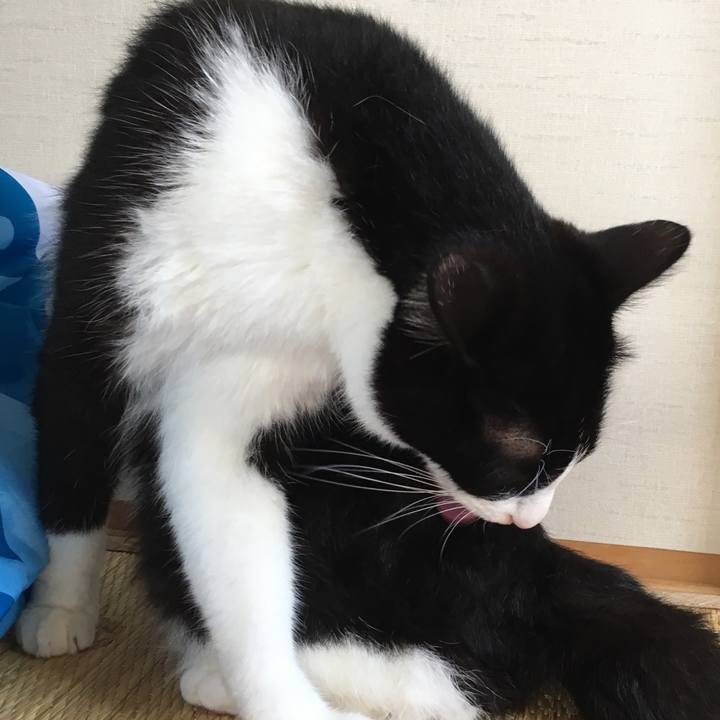 1a8acbef 81d5 4e39 8ac8 360464f924d6