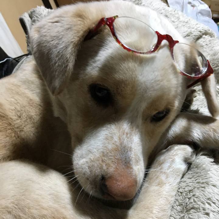 1a8b217c 62c4 43b6 b5e0 affbb91ef16c