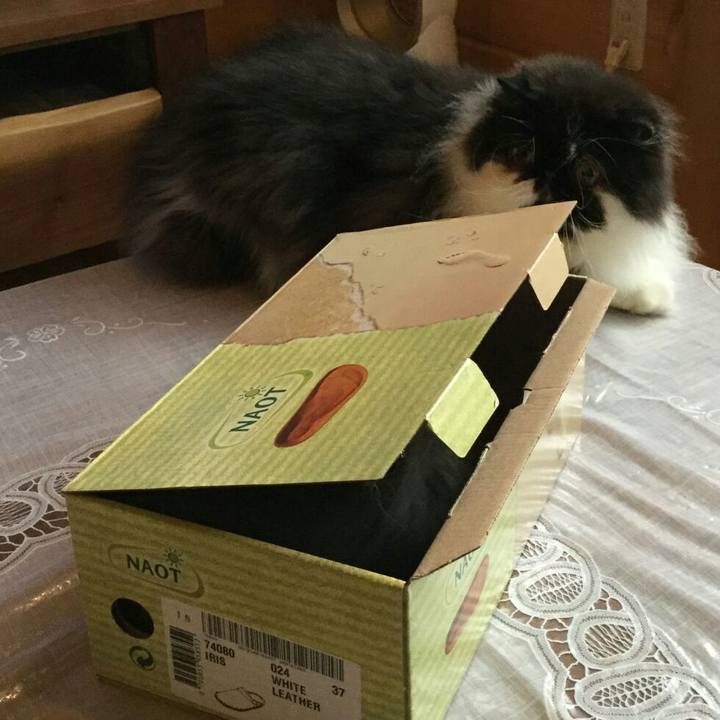 1a8b7559 f864 42df 8388 c446a196f59f