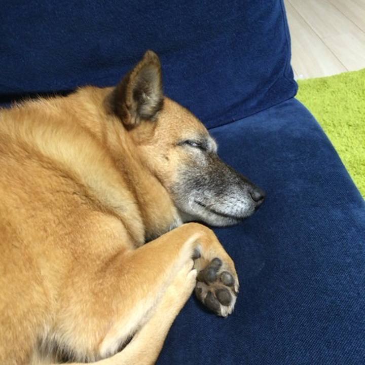 1a8bbba1 c138 403a 8973 0df31e09e2d1