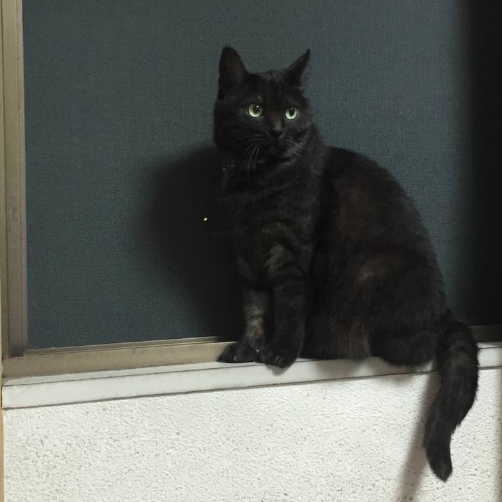 1a8c1c85 cbcf 41a1 a249 19bd9b77d17b