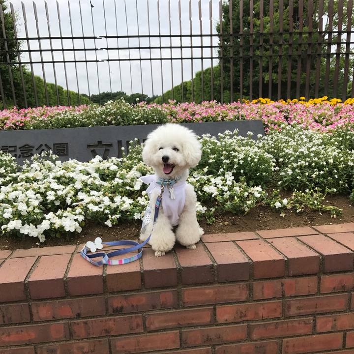 1a8c7bd8 0564 43c0 b1b3 4f0a7e1e4de9