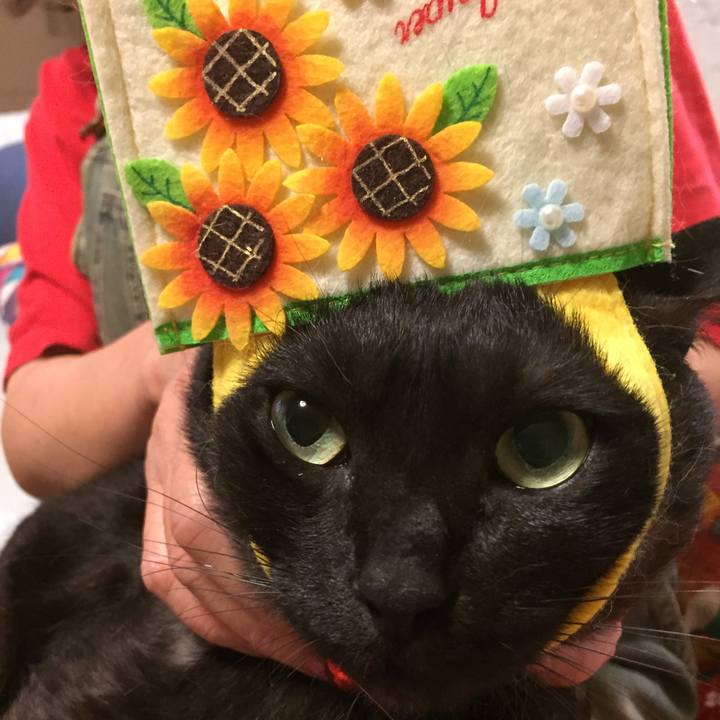 1a8cb8c2 b2bb 423e 923e 353d715e90f9