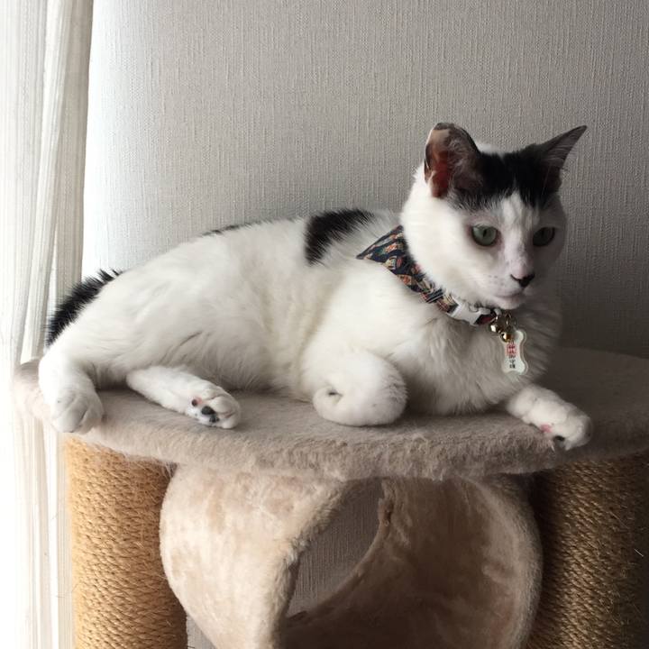 1a8d654b 7589 4d5e 8c14 5cea6e2b6573