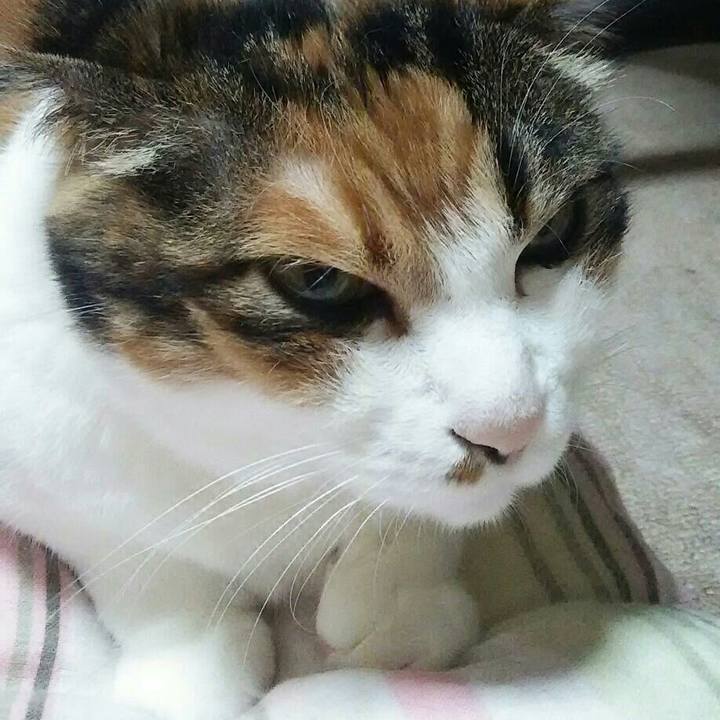 1a8db984 df27 45c8 b311 9202a3b23386