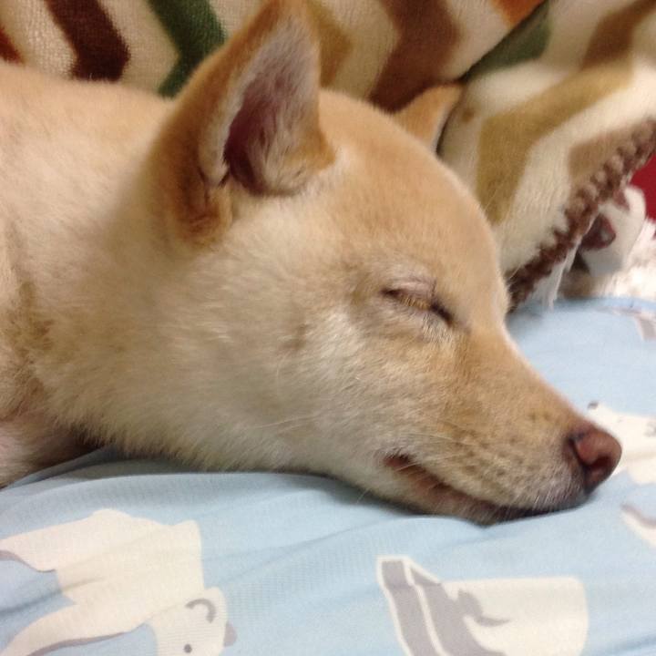 1a8f8691 833a 4502 8ae6 6c53b886c3ca