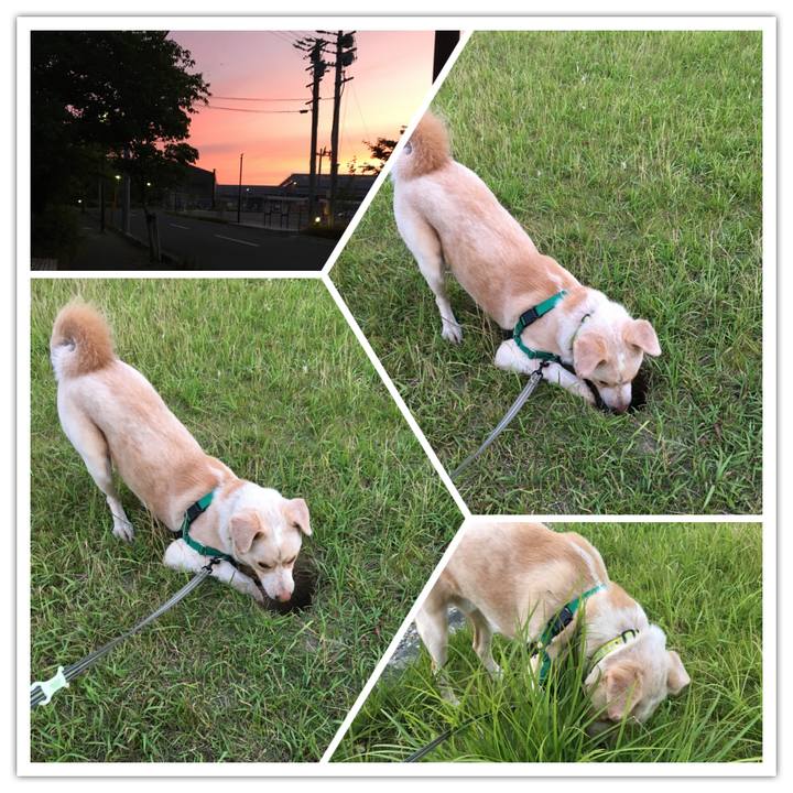 1a8f9565 c6b1 4ad9 a1e0 94f38bbe0ff5