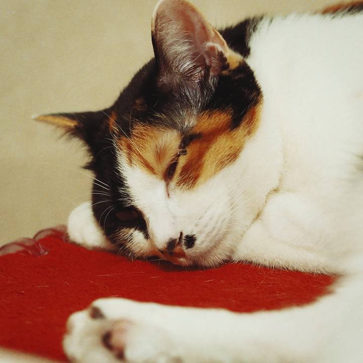 1a8f9bad 36e3 43a5 9c09 7059073f60bd