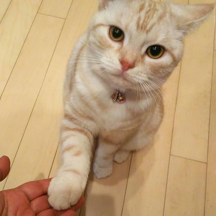 1a9019ee c614 4cb8 b20e 076f69be15f6