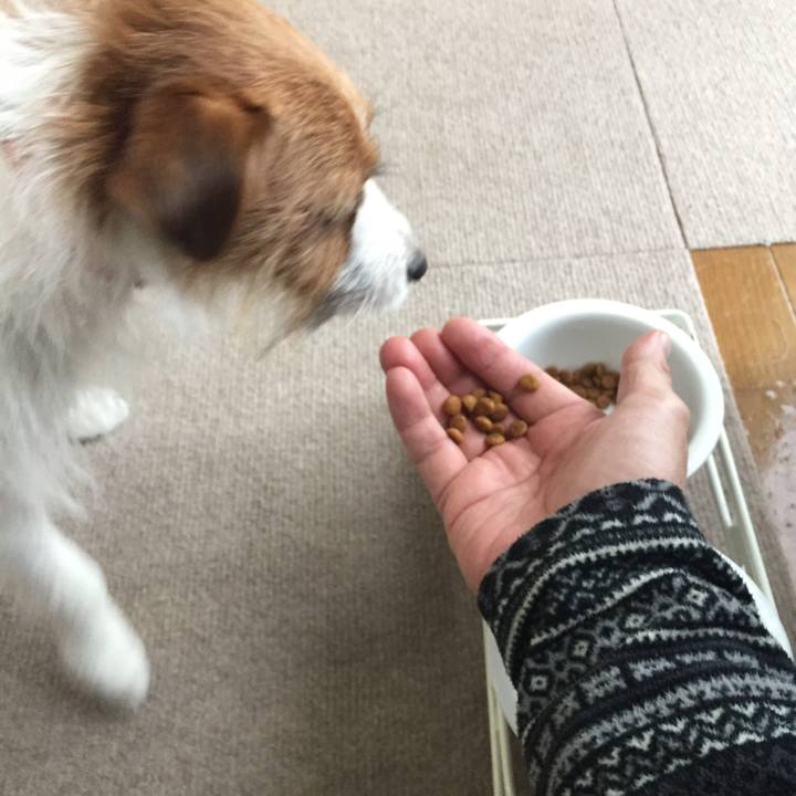 1a903282 2bba 4607 b1be f2abb461fa09