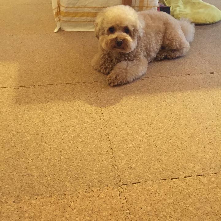 1a907d69 0b88 4ade 9dab 2bb938cc14a1