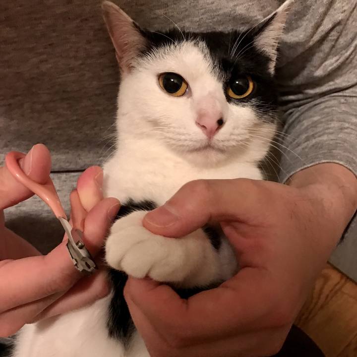 1a916604 8b54 465b befa dcd466b11b8d