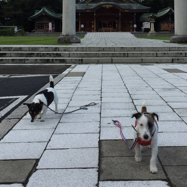 1a919b35 8b2a 4eb5 b9a6 57419326d0b5