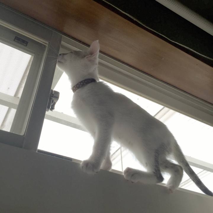 1a91be40 0ab0 49a8 864c 4b151c84587d