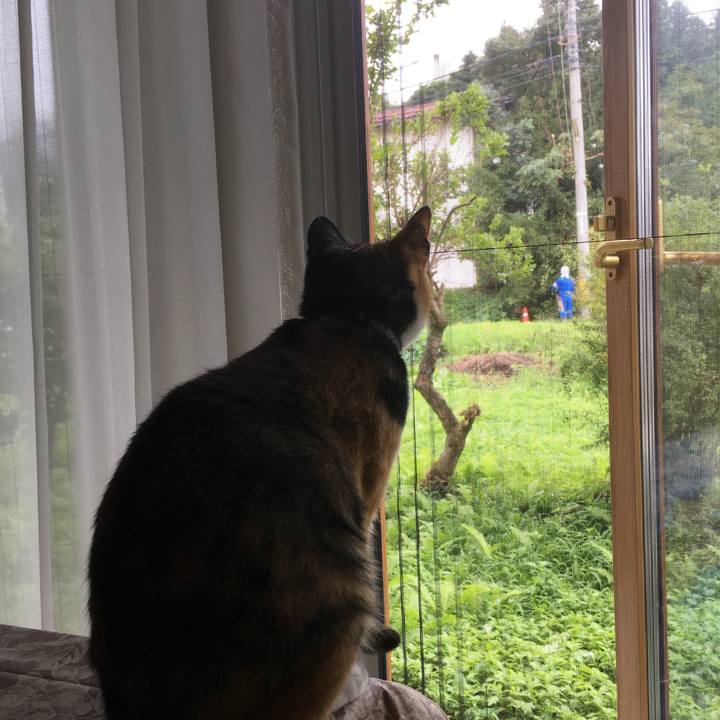 1a927780 e15b 422d bb25 df6d42b2e1f7