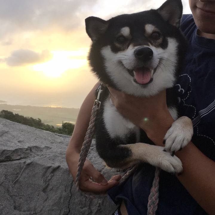 1a92795a 31b8 40bb 9c16 becfe40c5faf