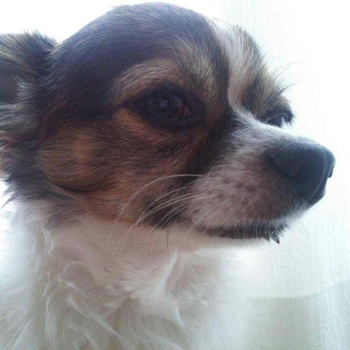 1a92bd5a 5d64 4fd0 b90e 839f44bac8a9