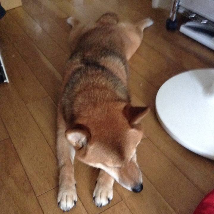 1a92fb89 6b90 4a72 8a55 2ded244279e6