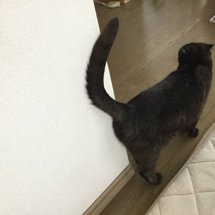 1a9365be 3be6 454b b5da 0a039c07d1f5