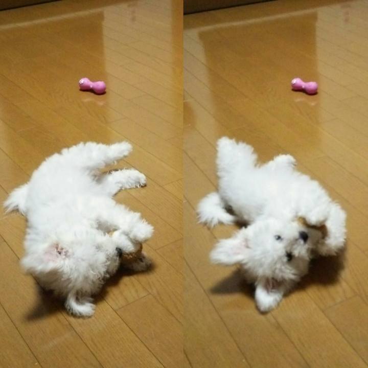 1a93b74f d732 48c2 aca0 fc6b7c6aec3f