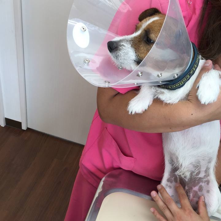 1a9404d7 9461 497e aaf4 a23a8c30f68f