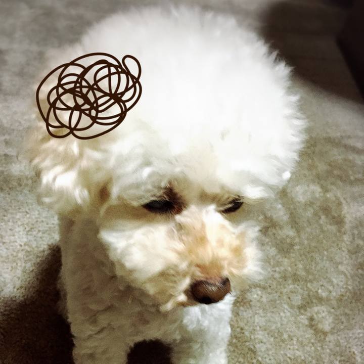 1a949db5 3b14 43f9 ae95 4113bbe5923b