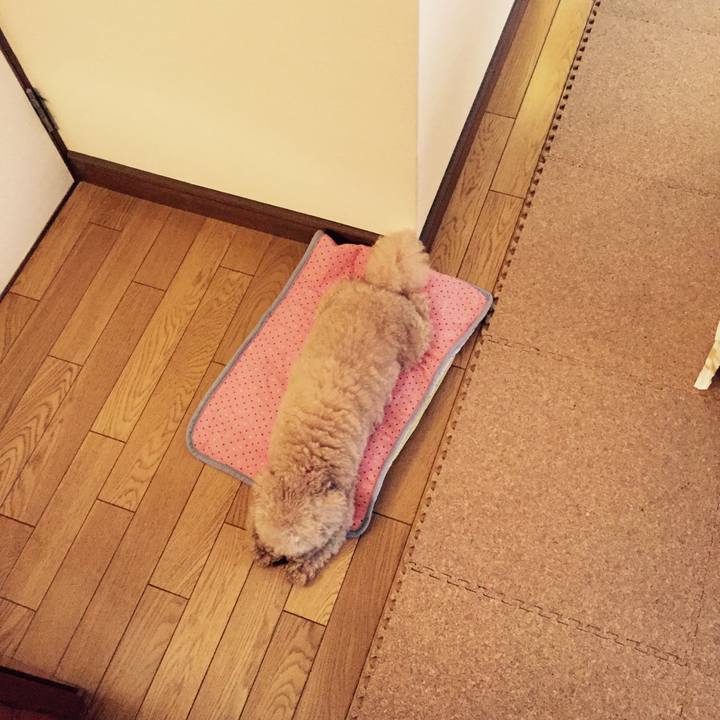 1a951de5 edc6 46e1 95d0 1a3fe450102b