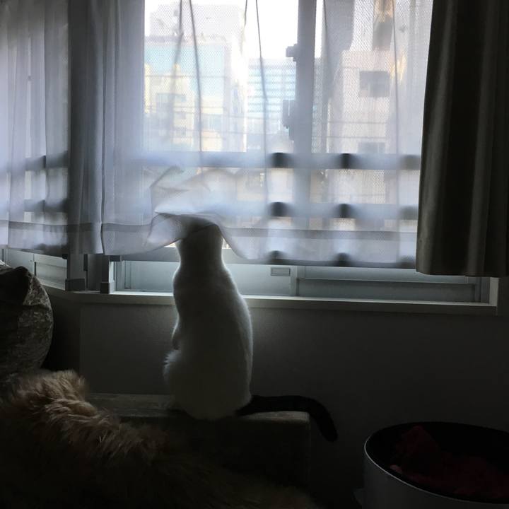 1a95689e 42a2 4948 8159 d5d5189f77e4